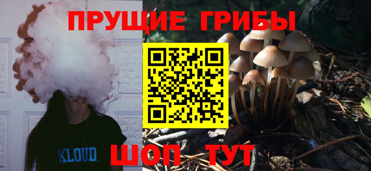 Галлюциногенные грибы мухоморы Санкт-Петербург