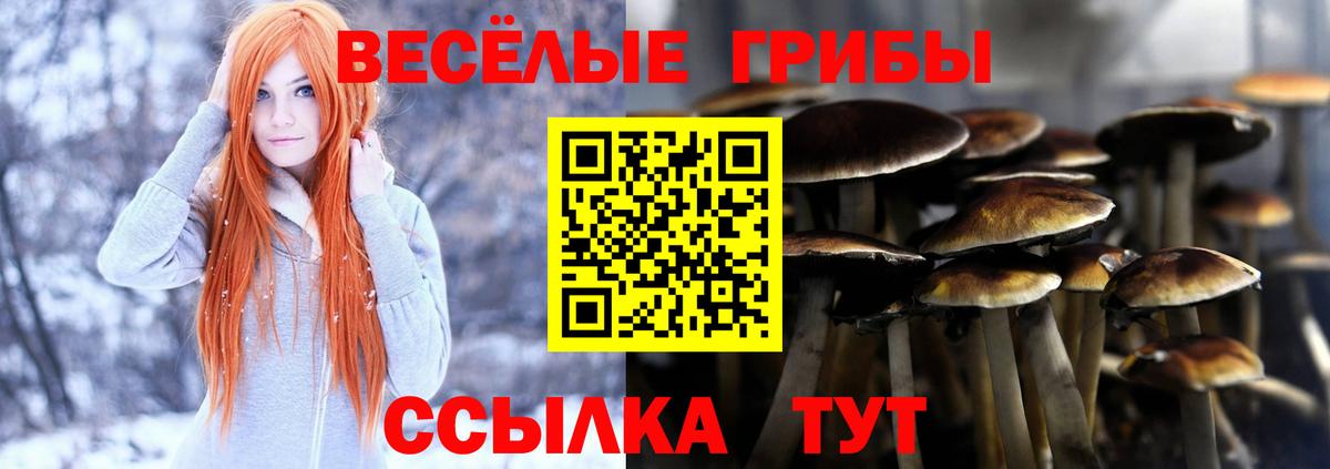 Галлюциногенные грибы Psilocybe  Псилоцибиновые грибы Psilocybe  Вход с VPN  Санкт-Петербург 